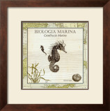 Biologia Marina III Prints