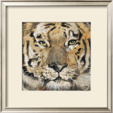 Tiger Posters by Volynets 