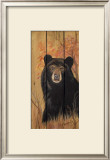 Bear Posters by Penny Wagner