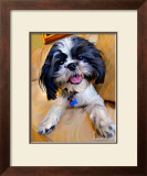 Shihtzu Baby Posters by Robert Mcclintock