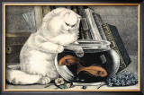 Persian Cat and Gold Fish Prints by Ebby Hoyt