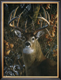 An Autumn Gentleman Prints by Carl Brenders