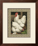 Roosters I Poster by Cassell's Poultry Book 