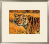 Savannah Alert Print by Spencer Hodge