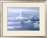 Play Time Polar Bear Prints by David Jean