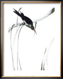 Perched Bird Poster by Aurore De La Morinerie