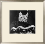 French Tabby Cat Posters by Mesh Gabriella