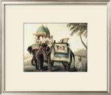 Indian Elephants I Posters