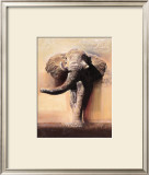 King of Savannah Prints by Talantbek Chekirov