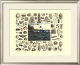 Dinosaurs I Prints by G. Heck