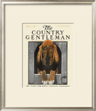 Bloodhound, c.1916 Framed Giclee Print by Charles Livingston Bull
