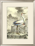 Antique Egret Art by J.E. Deseve