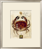 La Pince de la Mer Prints by Sabine Gotzes