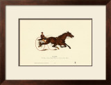 St. Julien Prints