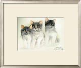 Katzen Art by Moser Dede