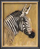 Zebra Prints by Kim Donaldson