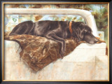 Pushed to the Limit (Black Lab) Poster by Barbara Shipman