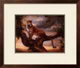 Leopard in Tree Prints by Silvia Duran