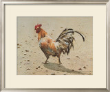 Banty Rooster Poster by LaVere Hutchings