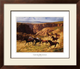Canyon Mustangs Art by John Leone