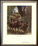 Wild Boar Posters by Friedrich Specht