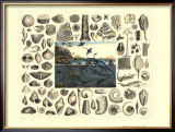 Dinosaurs I Prints by G. Heck