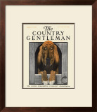 Bloodhound, c.1916 Framed Giclee Print by Charles Livingston Bull