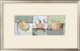 She Sells Sea Shells Prints by Tammy Repp