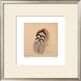 Faisan Prints by Michel Lablais
