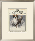 Herding Sheep, c.1916 Framed Giclee Print by Charles Livingston Bull