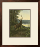 Elk Art by Oliver Kemp