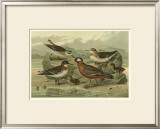 Shore Gathering II Print by Franz Eugen Kohler