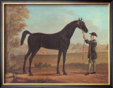 Racehorse Othello Poster by R. Roper