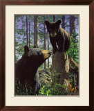 Stump Jumper Posters by Bruce Miller