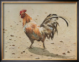 Banty Rooster Posters by LaVere Hutchings