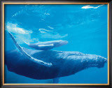 Humpback Mother and Calf Framed Giclee Print by Michael S. Nolan
