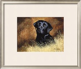 Black Labrador Limited Edition Framed Print by Richard Britton
