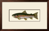 Steelhead Trout Posters by Teri Renee Blehm