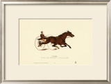 St. Julien Prints