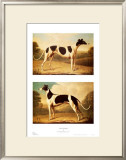 Two Greyhounds Prints by Benjamin Killingbeck