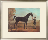 Racehorse Othello Posters by R. Roper