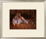 The Tiger's Lair Prints by W. Michael Frye