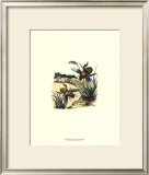 Flight of the Bee I Art by Sydenham Teast Edwards