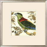 Tropical Parrot IV Art by Martinet 