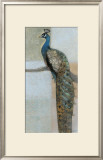 Resting Peacock II Print by Norman Wyatt Jr.