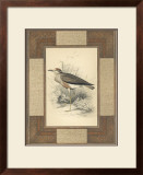 Lowland Courier Prints by Alastair Reynolds