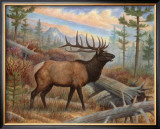 Elk Posters