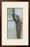 Resting Peacock II Art by Norman Wyatt Jr.