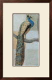 Resting Peacock I Posters by Norman Wyatt Jr.