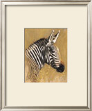 Zebra Art by Kim Donaldson